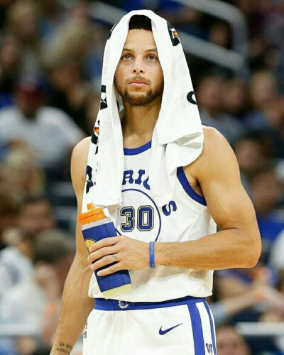 其职业发展 其职业发展