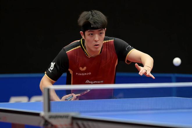 这一选择也 这一选择也